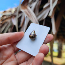 Load image into Gallery viewer, Civa Fiji Loose Saltwater Pearl - FJD$
