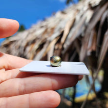 Load image into Gallery viewer, Civa Fiji Loose Saltwater Pearl - FJD$
