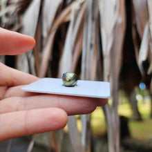 Load image into Gallery viewer, Civa Fiji Loose Saltwater Pearl - FJD$
