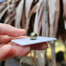 Load image into Gallery viewer, Civa Fiji Loose Saltwater Pearl - FJD$
