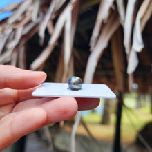 Load image into Gallery viewer, Civa Fiji Loose Saltwater Pearl - FJD$
