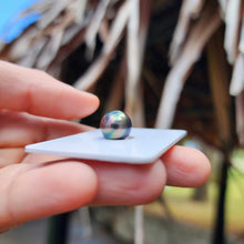 Load image into Gallery viewer, Civa Fiji Loose Saltwater Pearl - FJD$
