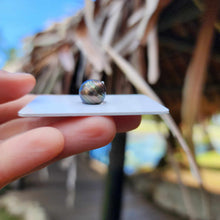 Load image into Gallery viewer, Civa Fiji Loose Saltwater Pearl - FJD$
