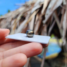 Load image into Gallery viewer, Civa Fiji Loose Saltwater Pearl - FJD$
