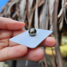 Load image into Gallery viewer, Civa Fiji Loose Saltwater Pearl - FJD$
