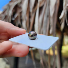 Load image into Gallery viewer, Civa Fiji Loose Saltwater Pearl - FJD$
