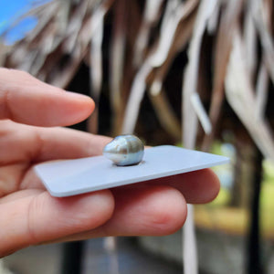 Civa Fiji Loose Saltwater Pearl - FJD$