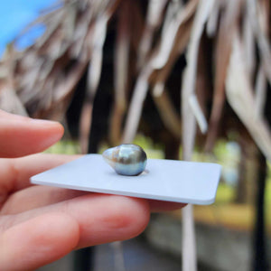 Civa Fiji Loose Saltwater Pearl - FJD$