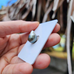 Civa Fiji Loose Saltwater Pearl - FJD$