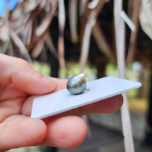 Load image into Gallery viewer, Civa Fiji Loose Saltwater Pearl - FJD$
