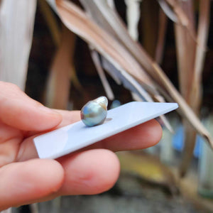 Civa Fiji Loose Saltwater Pearl - FJD$