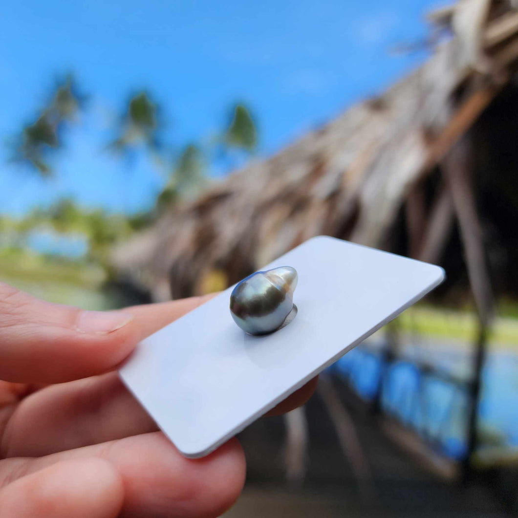 Civa Fiji Loose Saltwater Pearl - FJD$