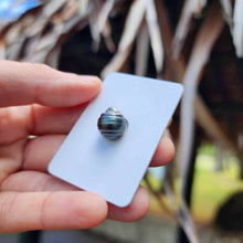 Load image into Gallery viewer, Civa Fiji Loose Saltwater Pearl - FJD$
