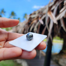 Load image into Gallery viewer, Civa Fiji Loose Saltwater Pearl - FJD$
