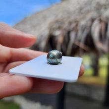 Load image into Gallery viewer, Civa Fiji Loose Saltwater Pearl - FJD$
