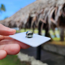 Load image into Gallery viewer, Civa Fiji Loose Saltwater Pearl - FJD$
