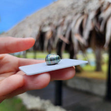 Load image into Gallery viewer, Civa Fiji Loose Saltwater Pearl - FJD$

