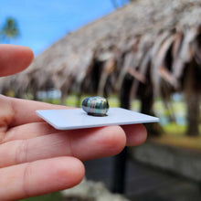 Load image into Gallery viewer, Civa Fiji Loose Saltwater Pearl - FJD$
