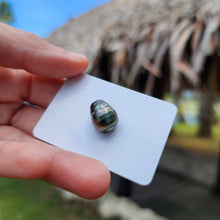 Load image into Gallery viewer, Civa Fiji Loose Saltwater Pearl - FJD$
