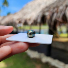 Load image into Gallery viewer, Civa Fiji Loose Saltwater Pearl - FJD$
