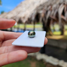 Load image into Gallery viewer, Civa Fiji Loose Saltwater Pearl - FJD$

