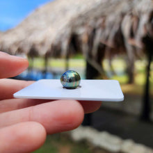 Load image into Gallery viewer, Civa Fiji Loose Saltwater Pearl - FJD$

