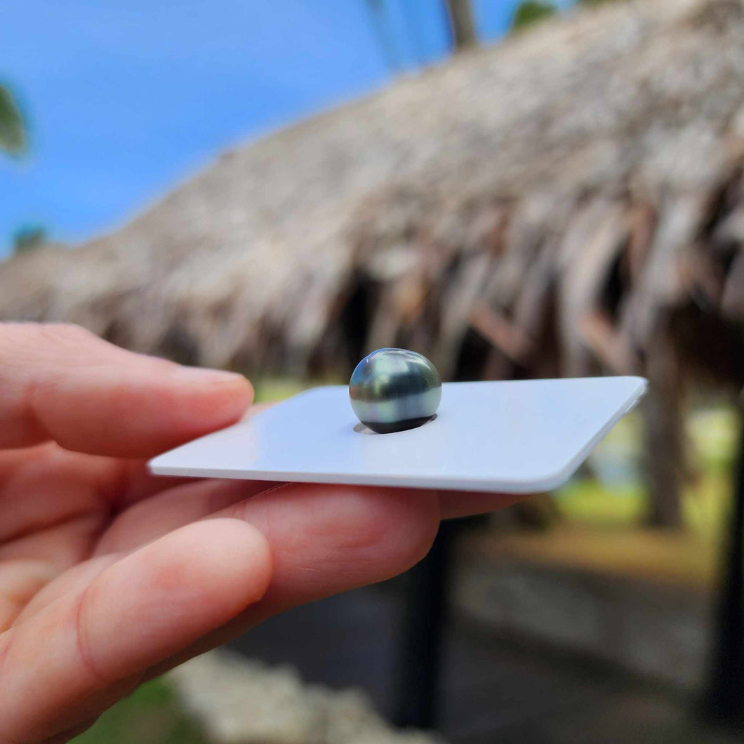 Civa Fiji Loose Saltwater Pearl - FJD$