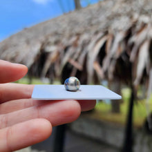 Load image into Gallery viewer, Civa Fiji Loose Saltwater Pearl - FJD$
