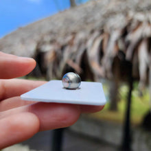Load image into Gallery viewer, Civa Fiji Loose Saltwater Pearl - FJD$
