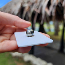Load image into Gallery viewer, Civa Fiji Loose Saltwater Pearl - FJD$
