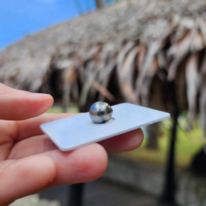 Civa Fiji Loose Saltwater Pearl - FJD$