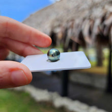 Load image into Gallery viewer, Civa Fiji Loose Saltwater Pearl - FJD$
