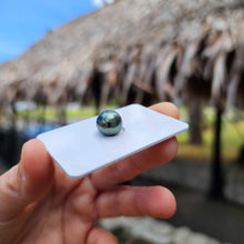 Load image into Gallery viewer, Civa Fiji Loose Saltwater Pearl - FJD$
