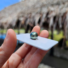 Load image into Gallery viewer, Civa Fiji Loose Saltwater Pearl - FJD$
