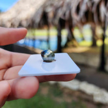 Load image into Gallery viewer, Civa Fiji Loose Saltwater Pearl - FJD$
