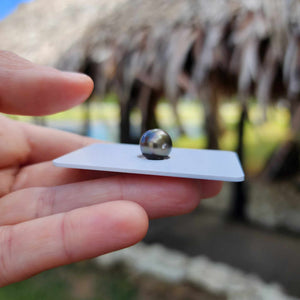 Civa Fiji Loose Saltwater Pearl - FJD$