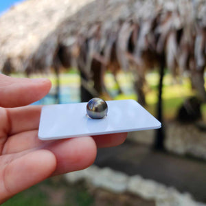 Civa Fiji Loose Saltwater Pearl - FJD$