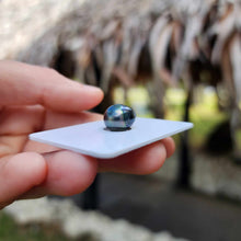 Load image into Gallery viewer, Civa Fiji Loose Saltwater Pearl - FJD$
