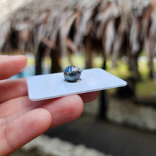 Load image into Gallery viewer, Civa Fiji Loose Saltwater Pearl - FJD$
