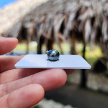 Load image into Gallery viewer, Civa Fiji Loose Saltwater Pearl - FJD$
