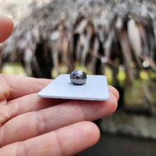 Load image into Gallery viewer, Civa Fiji Loose Saltwater Pearl - FJD$
