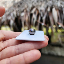 Load image into Gallery viewer, Civa Fiji Loose Saltwater Pearl - FJD$
