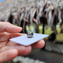 Load image into Gallery viewer, Civa Fiji Loose Saltwater Pearl - FJD$
