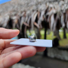 Load image into Gallery viewer, Civa Fiji Loose Saltwater Pearl - FJD$
