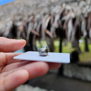 Civa Fiji Loose Saltwater Pearl - FJD$