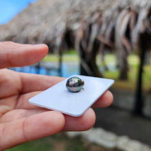 Load image into Gallery viewer, Civa Fiji Loose Saltwater Pearl - FJD$
