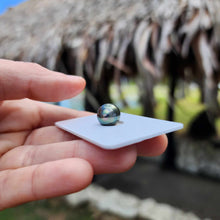 Load image into Gallery viewer, Civa Fiji Loose Saltwater Pearl - FJD$

