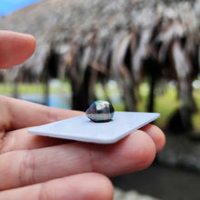 Load image into Gallery viewer, Civa Fiji Loose Saltwater Pearl - FJD$

