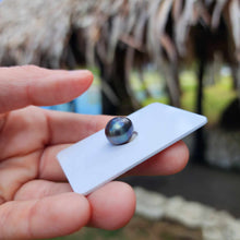 Load image into Gallery viewer, Civa Fiji Loose Saltwater Pearl - FJD$
