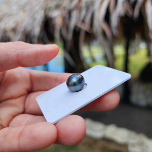 Civa Fiji Loose Saltwater Pearl - FJD$